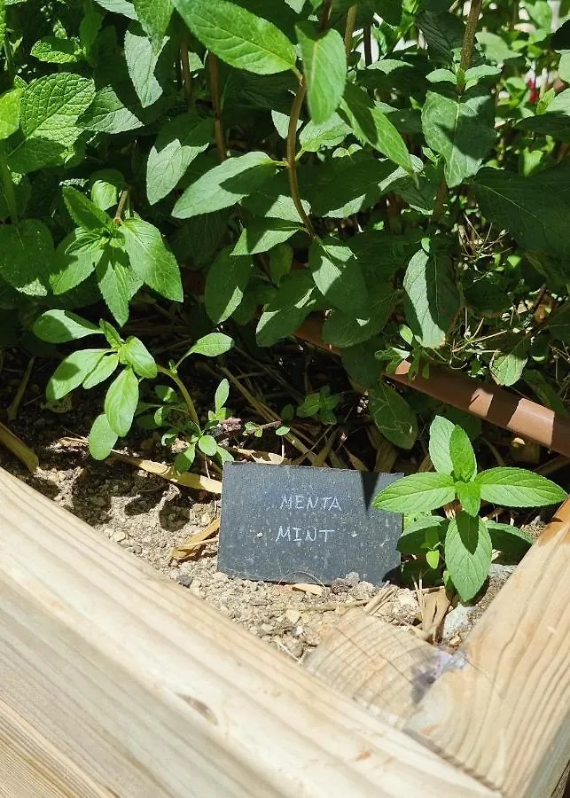 Eco Finca Sa Font Blava Llucmajor  Spagna