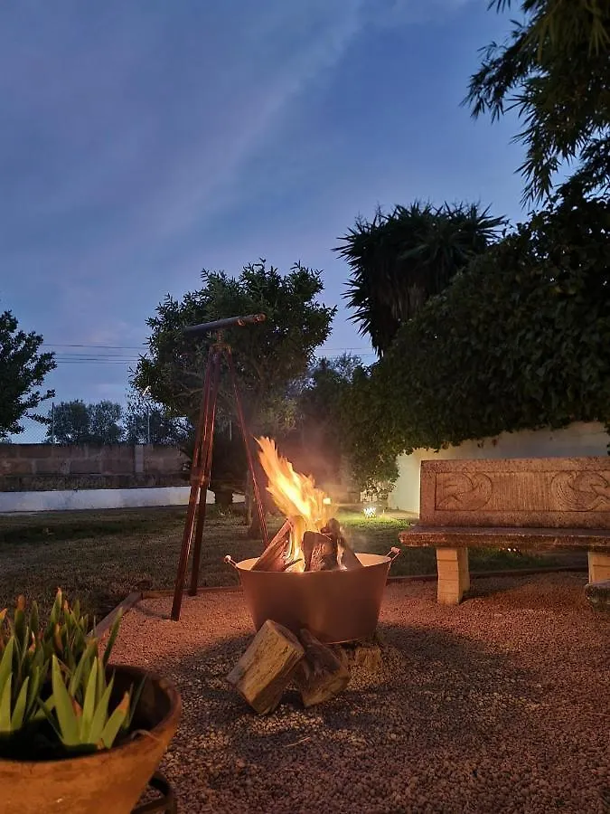 Holiday home Eco Finca Sa Font Blava Llucmajor